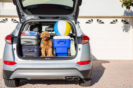 How to Refinance an Auto Loan in Time for Summer Travel
